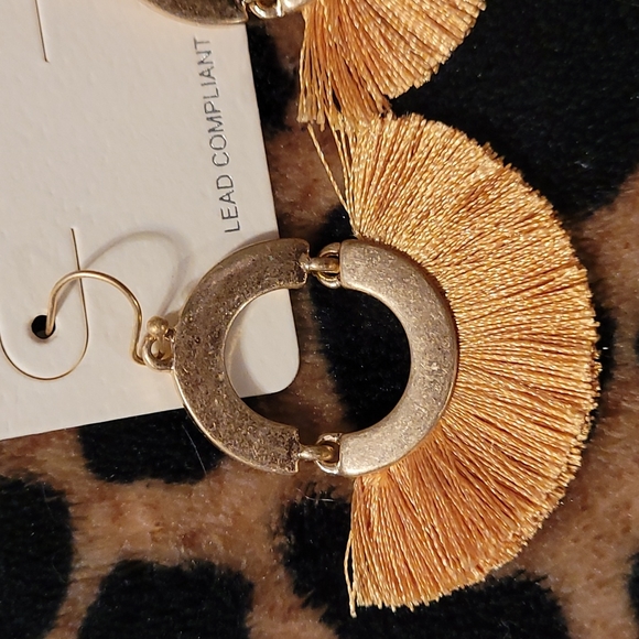 Fringe Tassel Influence Earrings - Picture 2 of 5